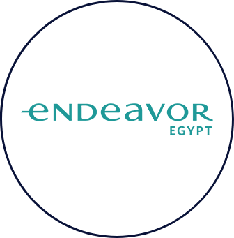 endeavor
