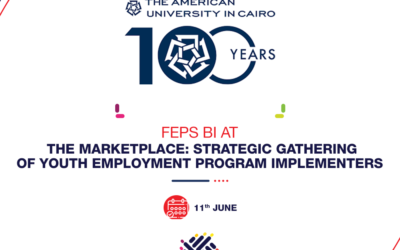 FEPS BI at the Marketplace: Strategic Gathering Of Youth Employment Program Implementors